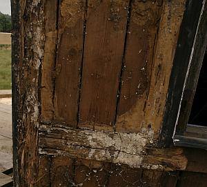 Verfaultes Holz